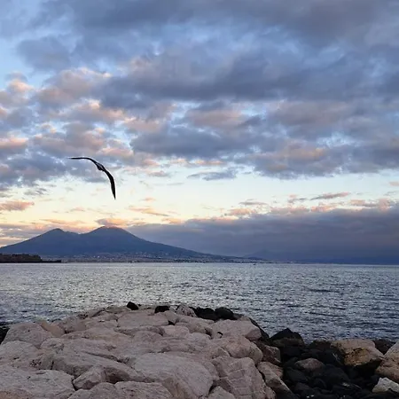 Aurora E Dad Center Naples