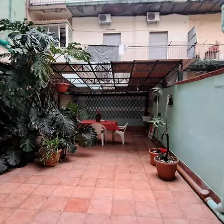 Aurora E Dad Center בית הארחה 3*