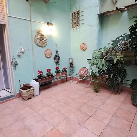 Aurora E Dad Center בית הארחה